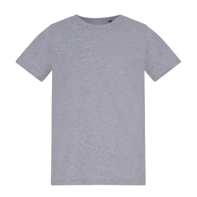 Awdis PC7937 boys's Children's T shirt in Grey