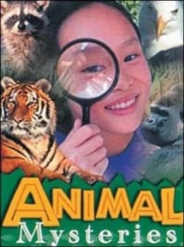 Animal Mysteries by Maggie Bridger Paperback