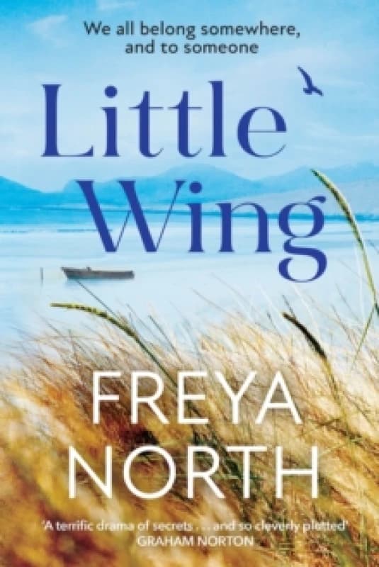 Little Wing : A beautifully written, emotional and heartwarming story Paperback / softback