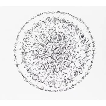 Golden Retriever - Occupied With the Unspoken CD