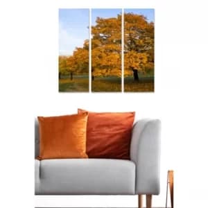 MDF170347578 Multicolor Decorative MDF Painting (3 Pieces)