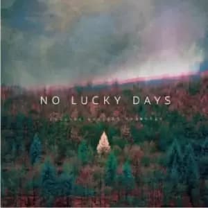 Webster Wraight Ensemble - No Lucky Days CD Album - Used
