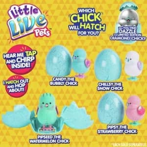 Little Live Pets Surprise Chick Toy