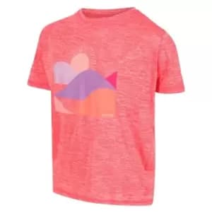 Regatta Alvarado VI T-Shirt - NeonPeachMrl