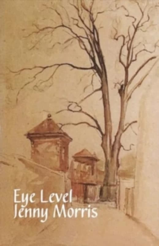 Eye Level Paperback / softback