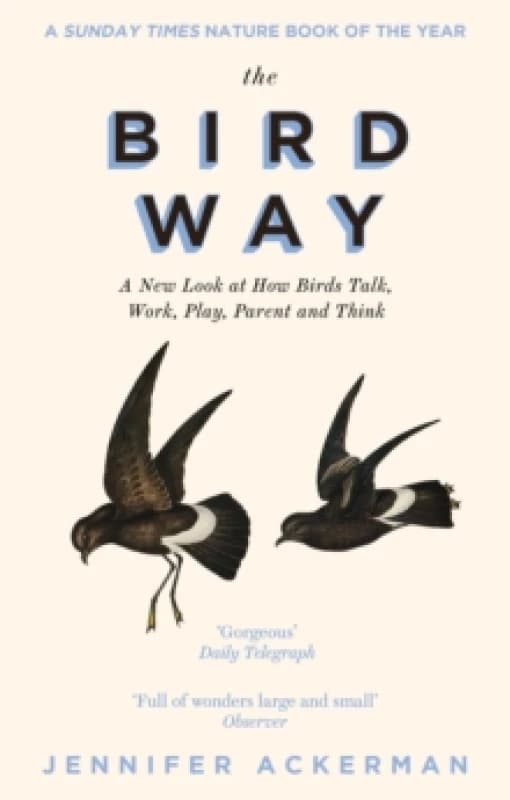 The Bird Way : A New Look at How Birds Talk, Work, Play, Parent, and Think Paperback / softback