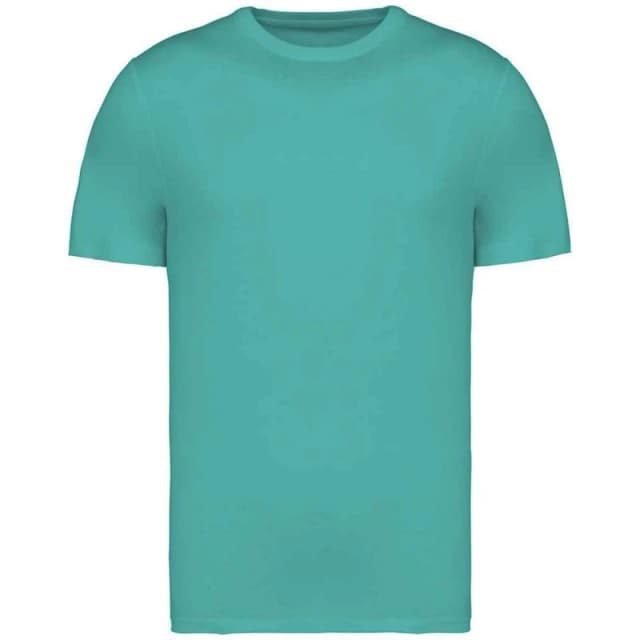 Native Spirit Mens Heavyweight Slim T-Shirt in Jade Size: XS Jade Male XS