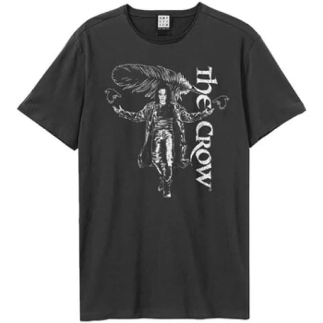 Amplified Amplified Men Collage The Crow T-Shirt in Charcoal Size: X-Small Charcoal XS Male 5063652562383