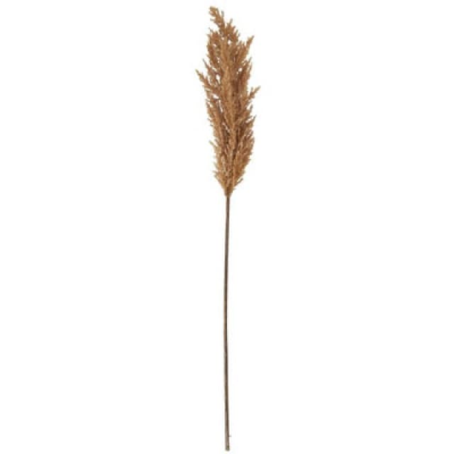 Hill Interiors Dried Pampas Gr Artificial Flower Taupe (One Size)