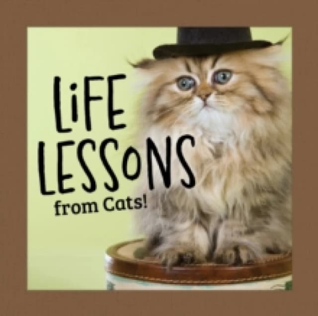 Life Lessons from Cats Hardback