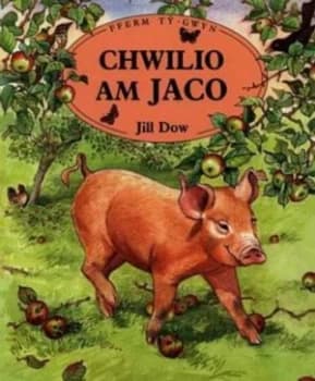 Chwilio Am Jaco by Jill Dow Book