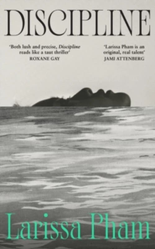 Discipline : One of the Most Anticipated Debuts of the Year Hardback