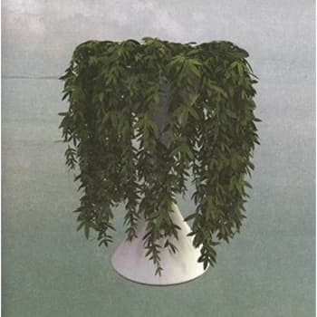 Errors - Lease of Life CD