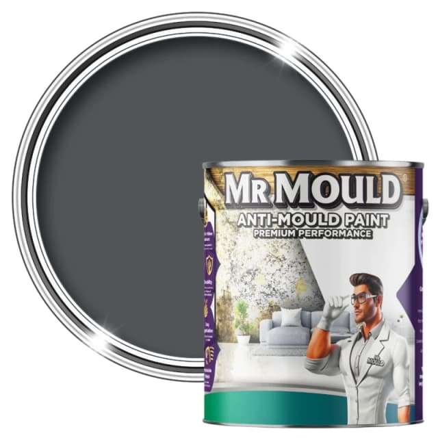 MR MOULD Anti-Mould Paint - 1L - Best Anti Mould Protection Paint for all Interior Walls & Ceilings in Classic Grey Classic Grey Unisex 1L