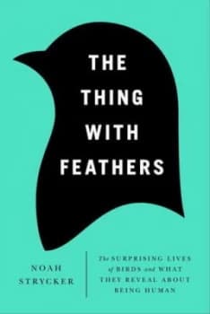 The Thing with Feathers by Noah Strycker Hardback