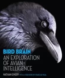 Bird Brain : An Exploration of Avian Intelligence