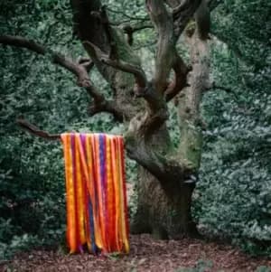 The Animal Spirits by James Holden & The Animal Spirits CD Album