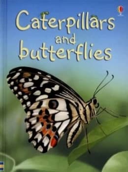 Caterpillars and Butterflies by Stephanie Turnbull and Rosanne Guille and Uwe Mayer and Michael Crosse and Alison Kelly Hardback