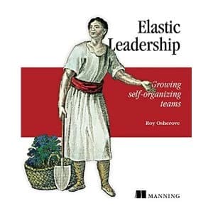 Elastic Leadership by Roy Osherove (Paperback, 2016)