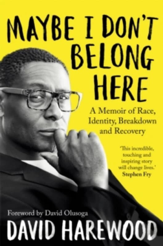 Maybe I Don't Belong Here : A Memoir of Race, Identity, Breakdown and Recovery Paperback / softback