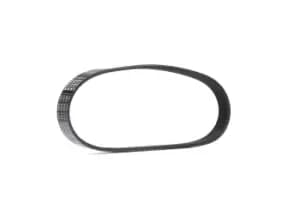 Bosch V-ribbed belt PEUGEOT,CITROEN,MINI 1 987 946 145 11287566991,11287568073,5750YN 11287566991,11287568073,V75680738002,5750YN