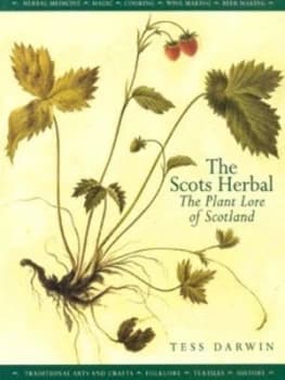 The Scots Herbal by Tess Darwin Paperback