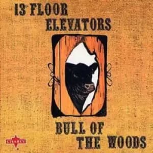 The 13th Floor Elevators - Bull of the Woods CD Album - Used