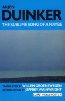 The Sublime Song of a Maybe by Arjen Duinker Paperback
