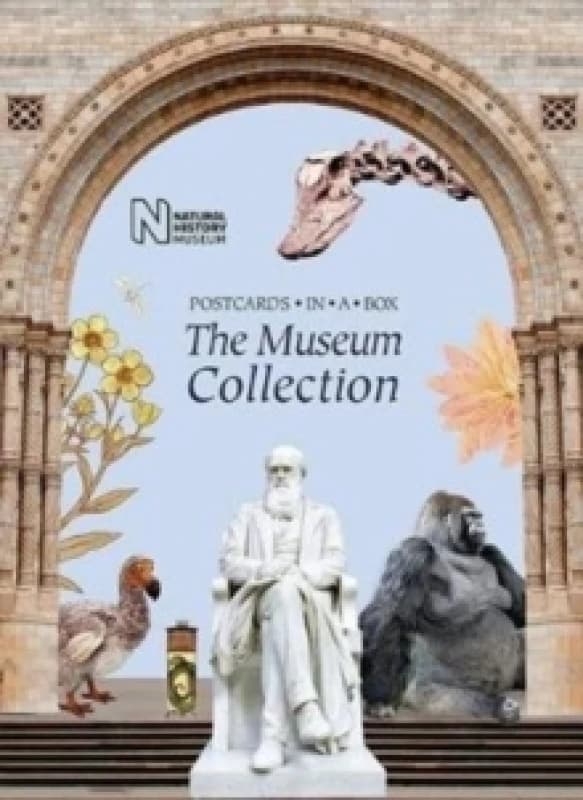 The Museum Collection. Cards Books