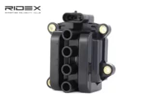 RIDEX Ignition coil 689C0284 Coil pack,Ignition coil pack RENAULT,NISSAN,DACIA,TWINGO I (C06_),CLIO II (BB0/1/2_, CB0/1/2_)