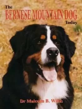 The Bernese mountain dog today by M. B Willis
