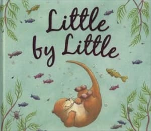 Little by Little by Amber Stewart Hardback