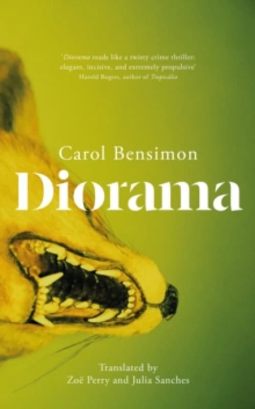 Diorama : an engrossing suspense novel set in 1980s Brazil Hardback