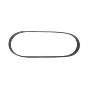 RIDEX V-ribbed belt 305P0495 Serpentine belt,Auxiliary belt PEUGEOT,CITROEN,MINI,207 (WA_, WC_),207 CC (WD_),208 I Schragheck (CA_, CC_),207 SW (WK_)