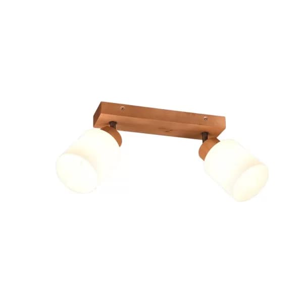 Assam Vintage 2 Light Twin Ceiling Spotlight natural finish
