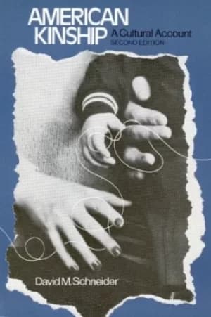 American Kinship by David M. Schneider