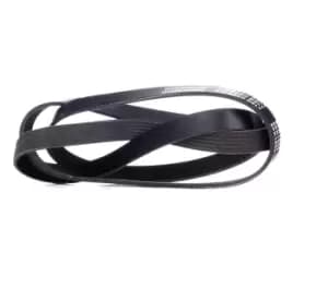 RIDEX V-ribbed belt 305P0215 Serpentine belt,Auxiliary belt OPEL,FORD,RENAULT,Zafira A (T98),Astra G CC (T98),Vectra C Caravan (Z02)