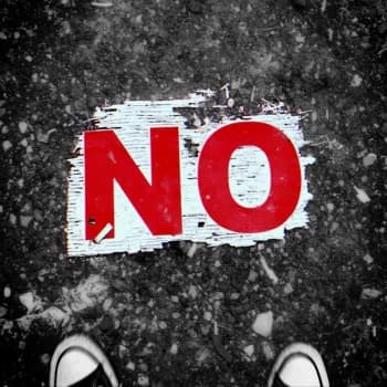 Duck - There Are No Normal Conversations Any More Vinyl