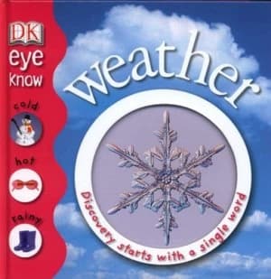 Weather by Penelope Arlon Hardback