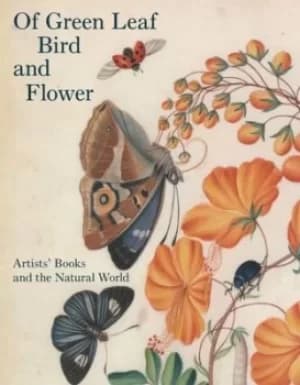 Of green leaf bird and flower by Elisabeth R. Fairman