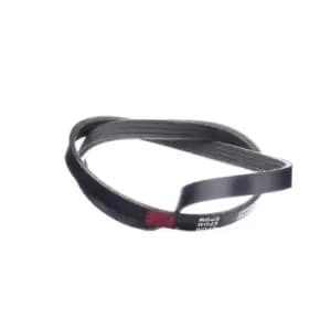 RIDEX V-ribbed belt 305P0309 Serpentine belt,Auxiliary belt FIAT,IVECO,Ducato Kastenwagen (250_, 290_),Ducato Bus (250_, 290_)