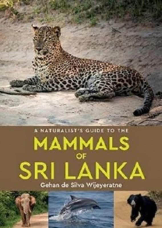 A Naturalist's Guide to the Mammals of Sri Lanka Paperback / softback