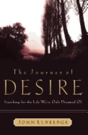 journey of desire searching for the life we only dreamed of