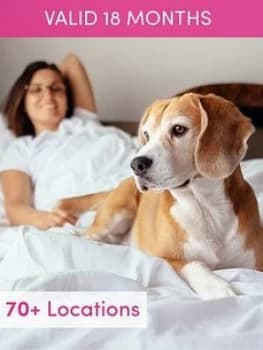 Activity Superstore Dog Friendly Hotel Stay