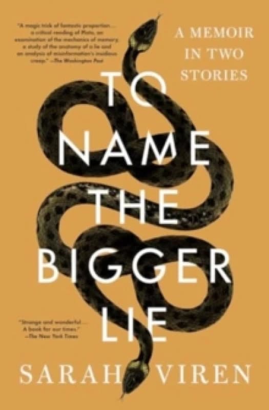 To Name the Bigger Lie : A Memoir in Two Stories Paperback / softback