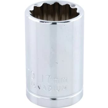 Yamoto - Socket Bi-hexagon 1/2' Square Drive 17MM Chrome Vanadium (12-Point)