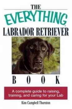 The Everything Labrador Retriever Book by Kim Campbell Thornton Paperback