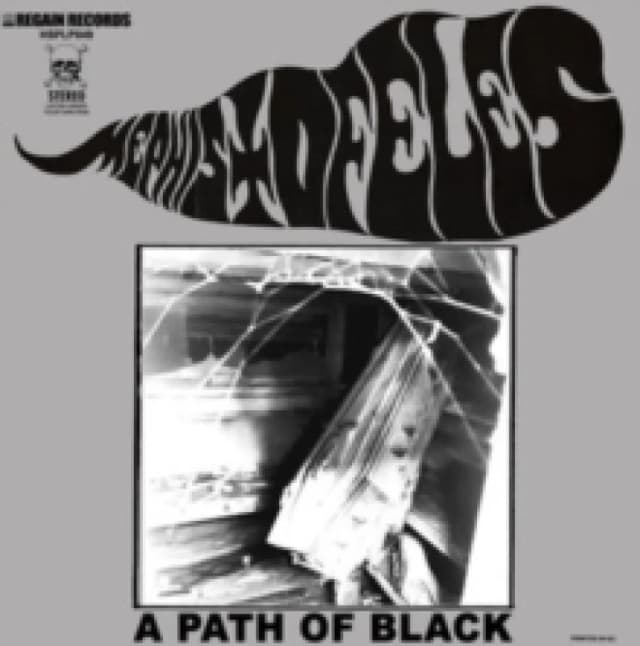 A path of Black Vinyl