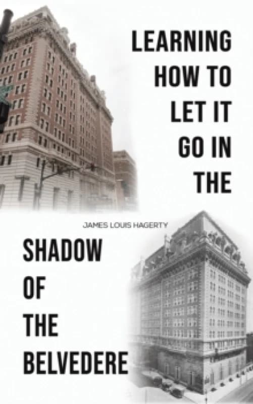 Learning How to Let It Go in the Shadow of the Belvedere Paperback / softback