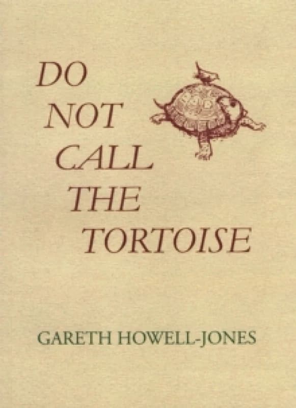 Do Not Call the Tortoise Paperback / softback